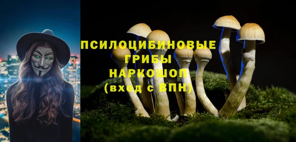 дмт Магас