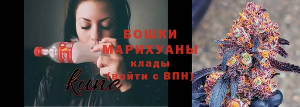 сатива Липки