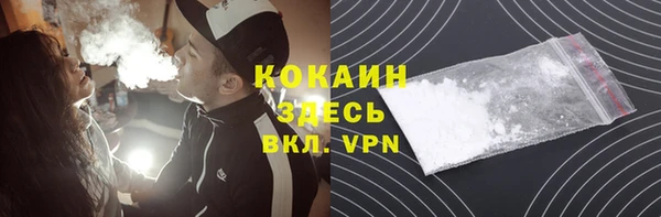 гашик Майский