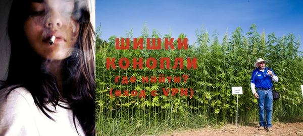 сатива Липки