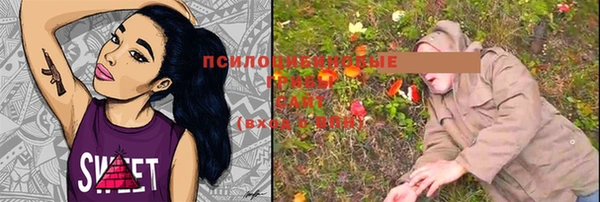 гашик Майский