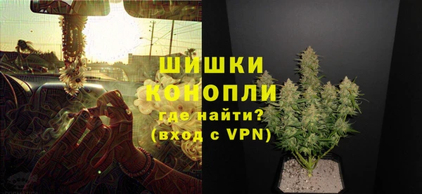 сатива Липки