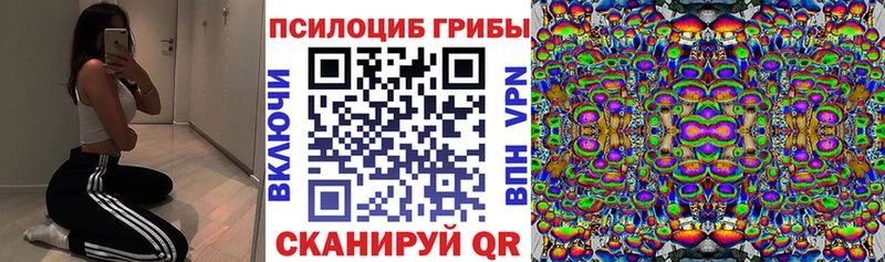Галлюциногенные грибы мицелий  ОМГ ОМГ вход  Павловский Посад 