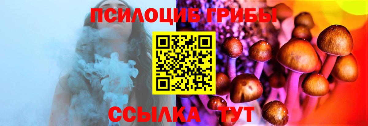 Псилоцибиновые грибы Psilocybine cubensis Павловский Посад